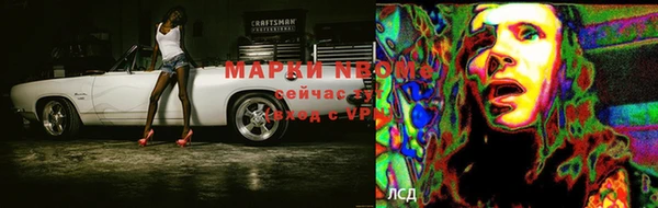 СК Беломорск