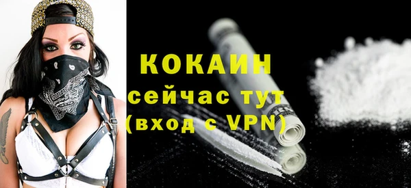 твердый Арсеньев