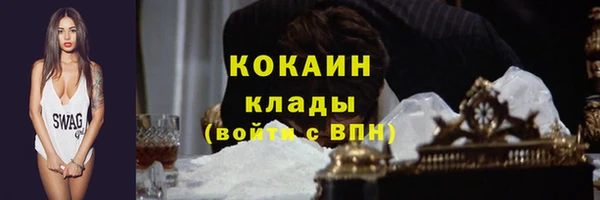 твердый Арсеньев