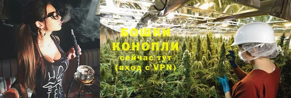 бошки Аркадак
