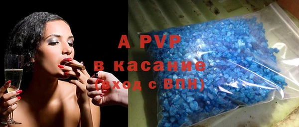 твердый Арсеньев