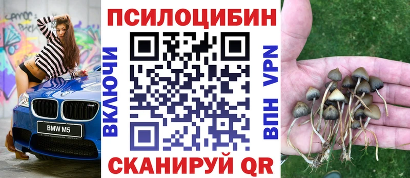 нарко площадка Telegram  Безенчук  Галлюциногенные грибы MAGIC MUSHROOMS 