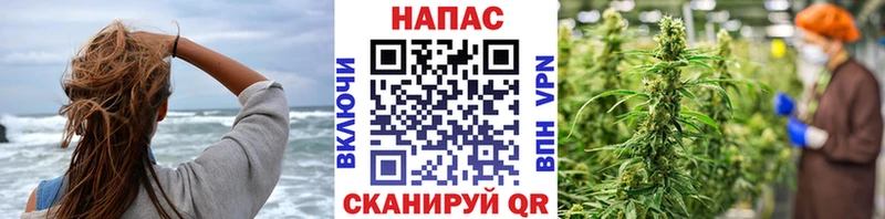 купить наркотик MEGA рабочий сайт Конопля план Безенчук